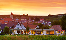 Kreuz-Post in Burkheim mit Weinbergen